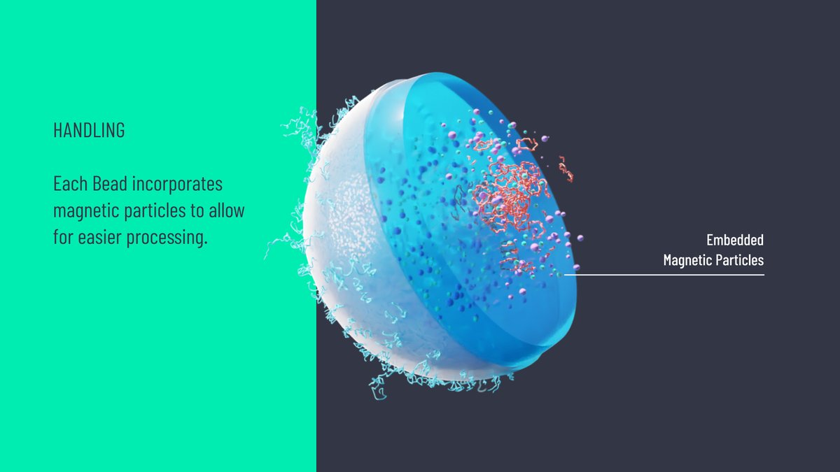 Magnetic particles in the Beads provides more precise control and processing.

#labonabead #digitalPCR #BLINKBeads #BLINKX #BLINKDx