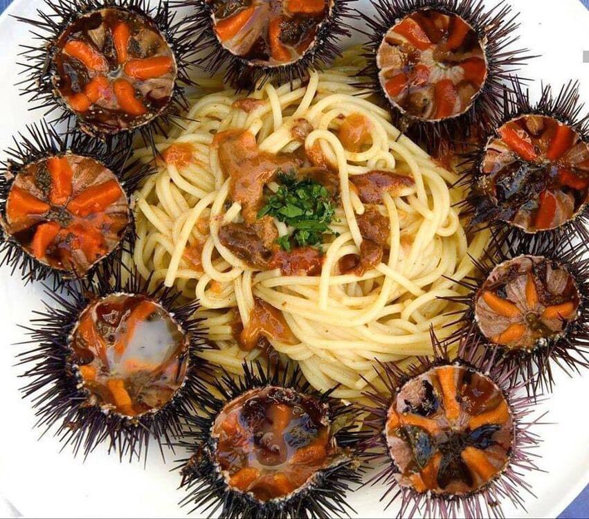 il riccio di mare sapendo che a noi umani piace mangiarlo ci  ricorda che nei mesi di MAGGIO  e GIUGNO  non deve essere pescato  se si vuole evitare l’estinzione
L'offerta illecita si combatte con l'azzeramento della domanda! 
Rispettiamo la natura!!@gianlucaguidi