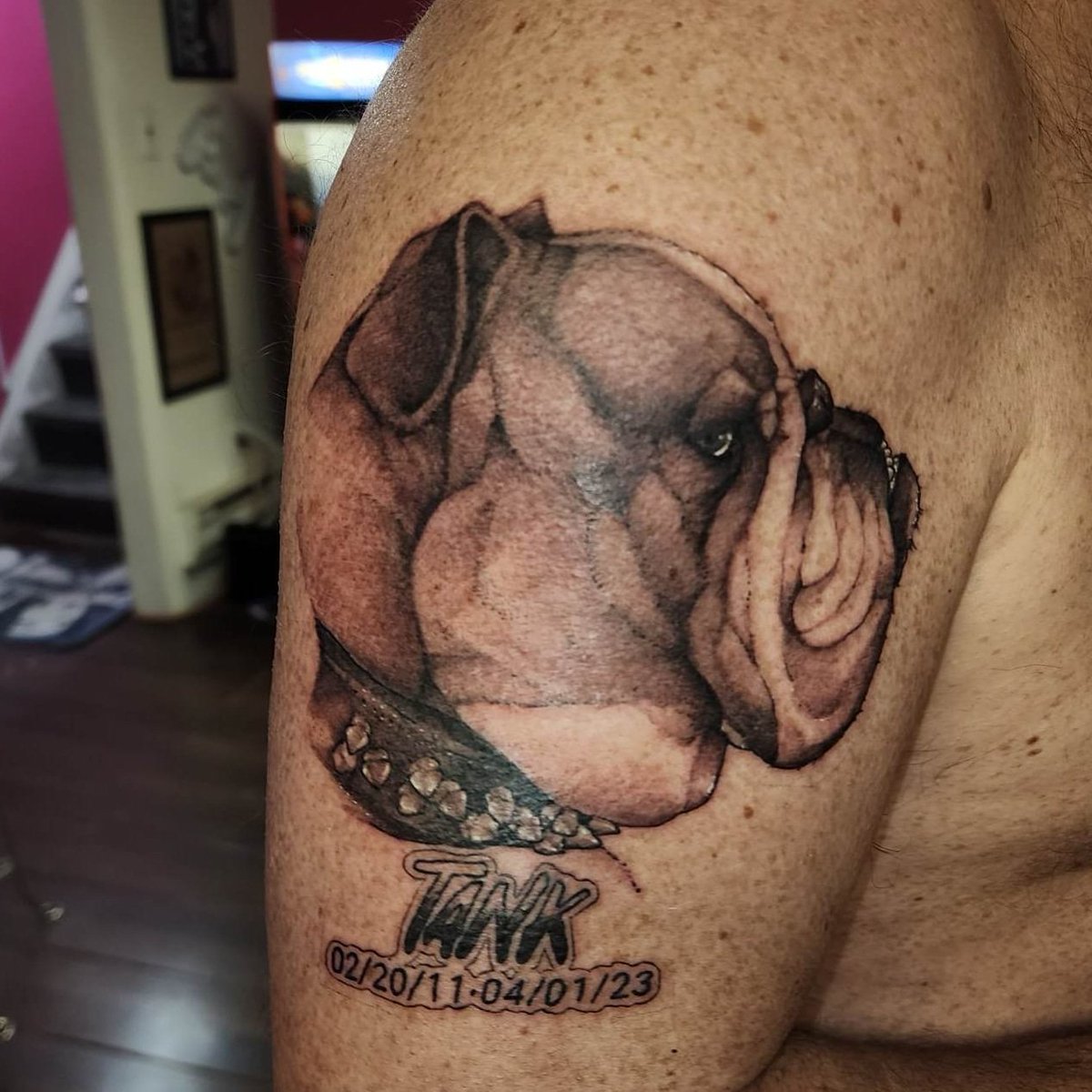 PunkAssPiercing's tweet photo. Awesome memorial dog portrait by @tattoopsych 
#tattoo #dogsoftwitter #Toronto https://t.co/mAH01kF5IZ