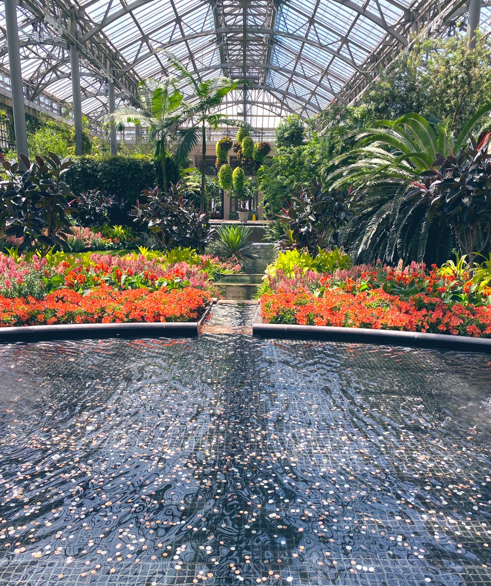 Monica McCallan (no plot, just feelings) tweet media