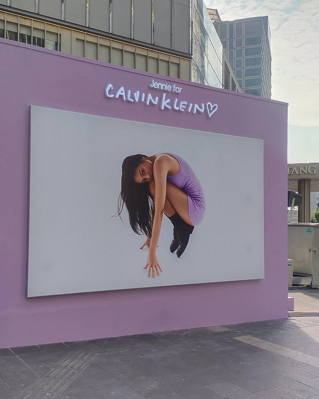 Pavilion calvin klein sale