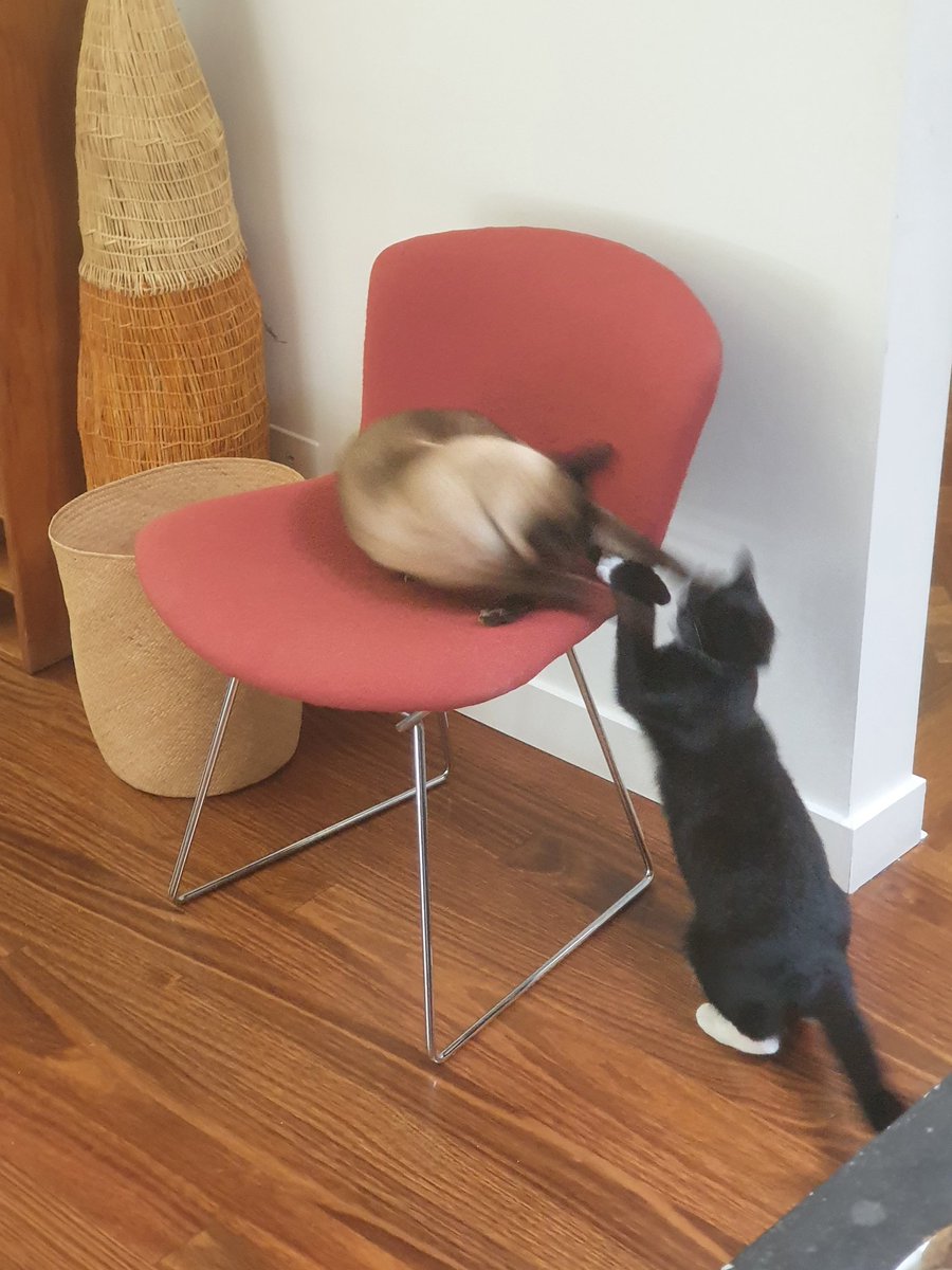 Mrowsudyn tweet media