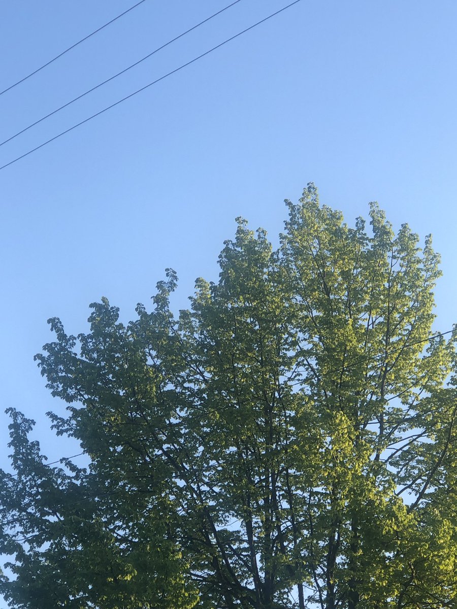 declanwav's tweet image. My first single in forever is a suicide note I wrote and decided to make into a song after going to therapy for my first time. The second is a song I wrote about exes hitting you up way too late. Duality baby your boy got it.