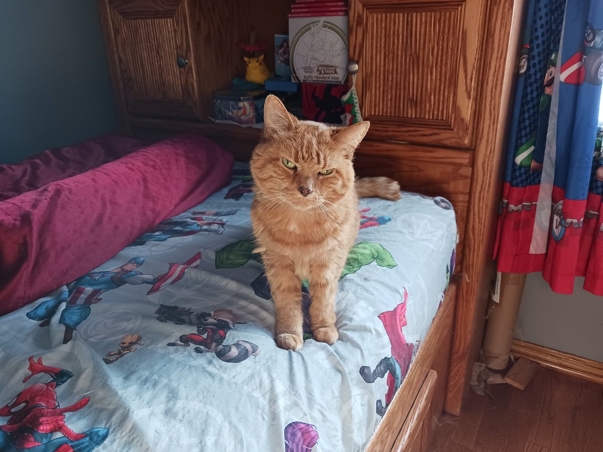 StashzaCash's tweet photo. Happy Birthday Garfield!! She turned 18 today and I'm so very blessed to have her! If it wasn't for her idk if I would have made it this far in life. I'll treasure every moment I've had with her. Always will be my # 1 https://t.co/3c3BV0B7KB