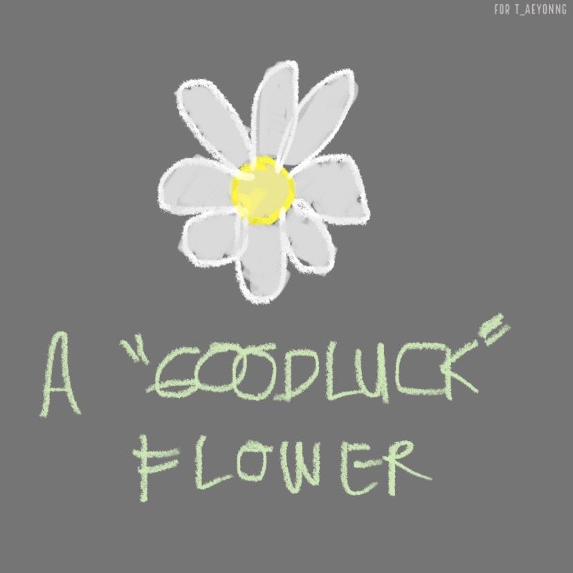 elev3nth's tweet photo. https://t.co/GK7tOAOSHM