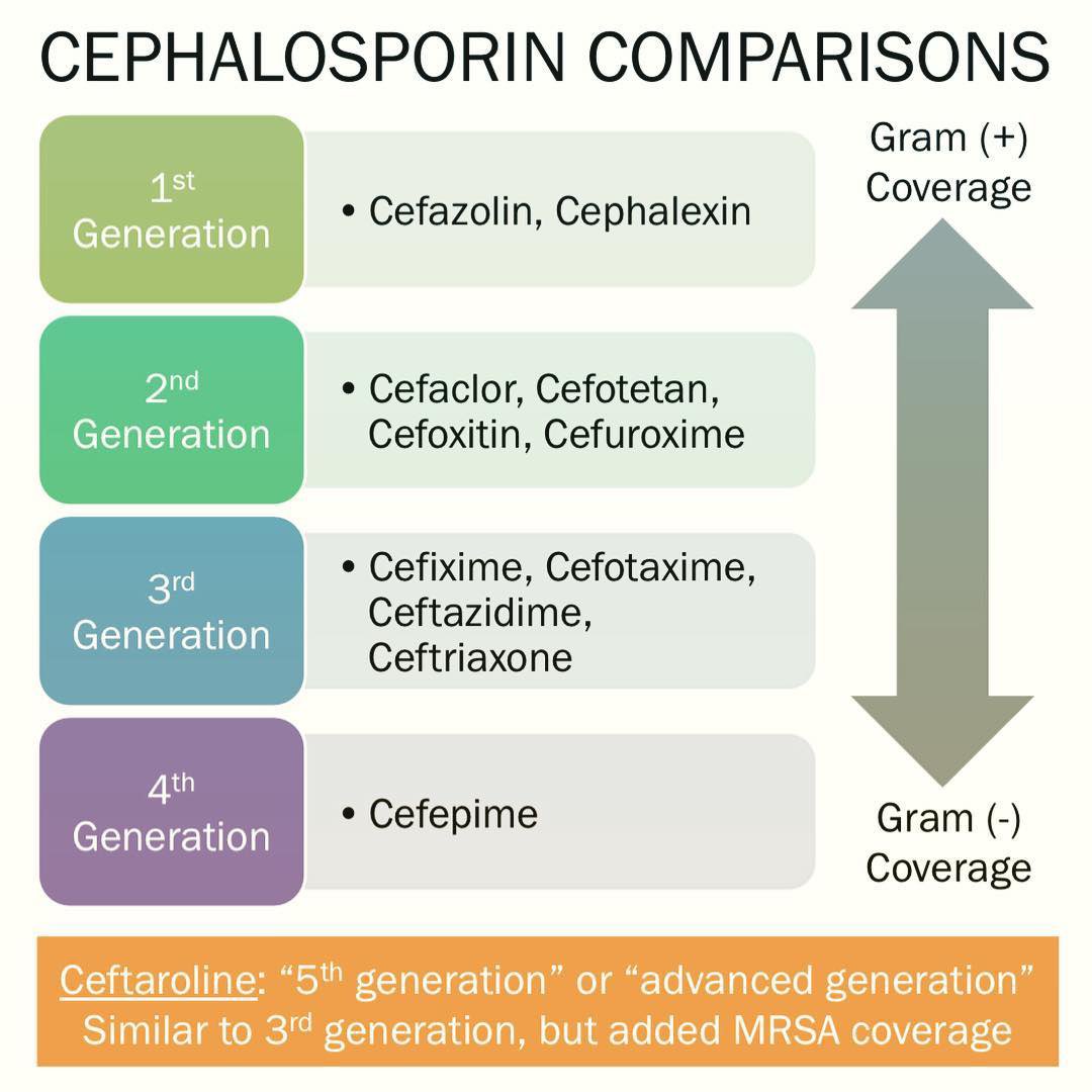 Cephalosporins 💊

#pharmacology #MedTwitter #medschool