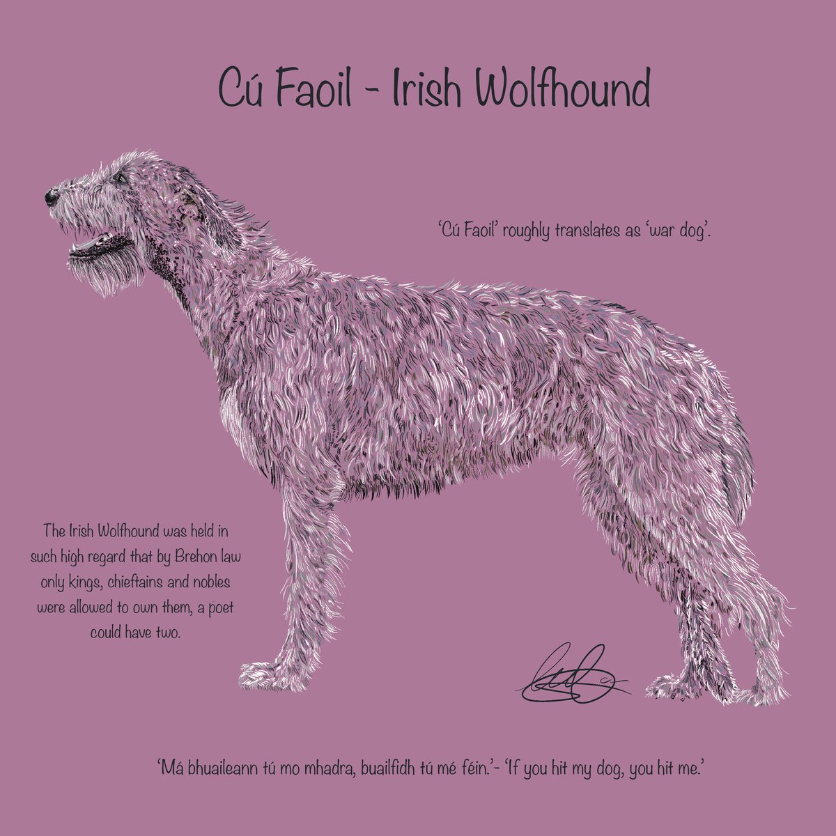 Cú Faoil - Irish Wolfhound (amended)

#asgaeilge #gaeilge4all #Gaeilge #Wolfhound #IrishWolfhound #Ireland #irishculture #irishlanguage