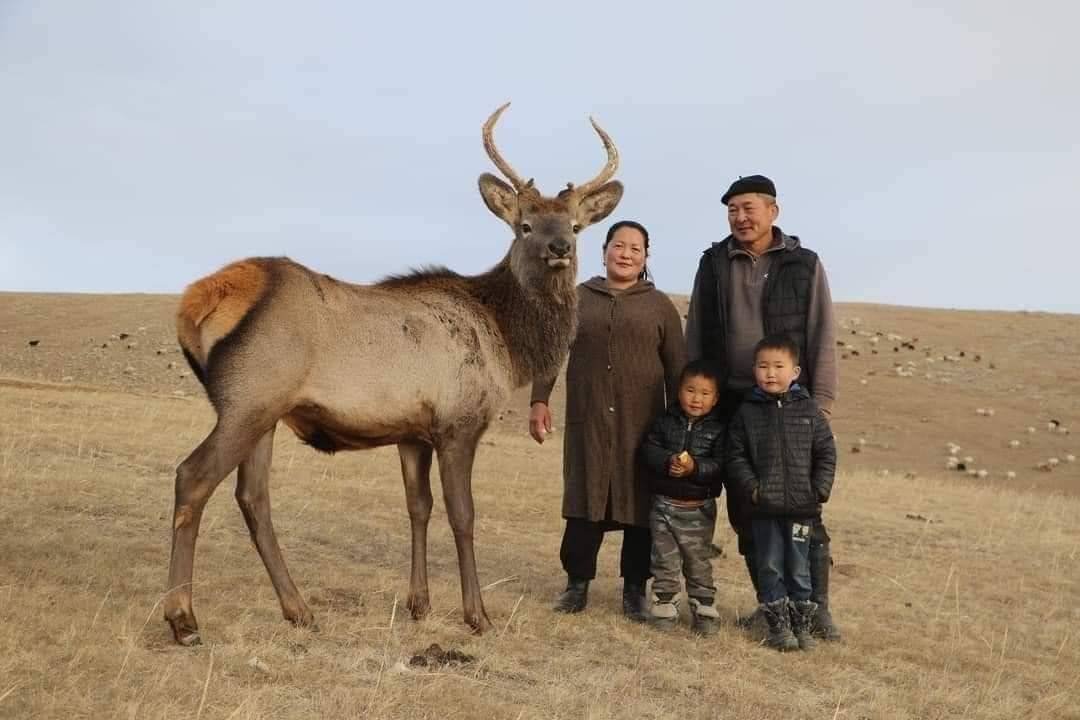 Гурван жилийн өмнө угжаар өсгөсөн Борхүү  Богд уулнаас  явж өсгөж торнуилсан гэр бүл дээрээ хол замыг туулж  эргэн иржээ.
