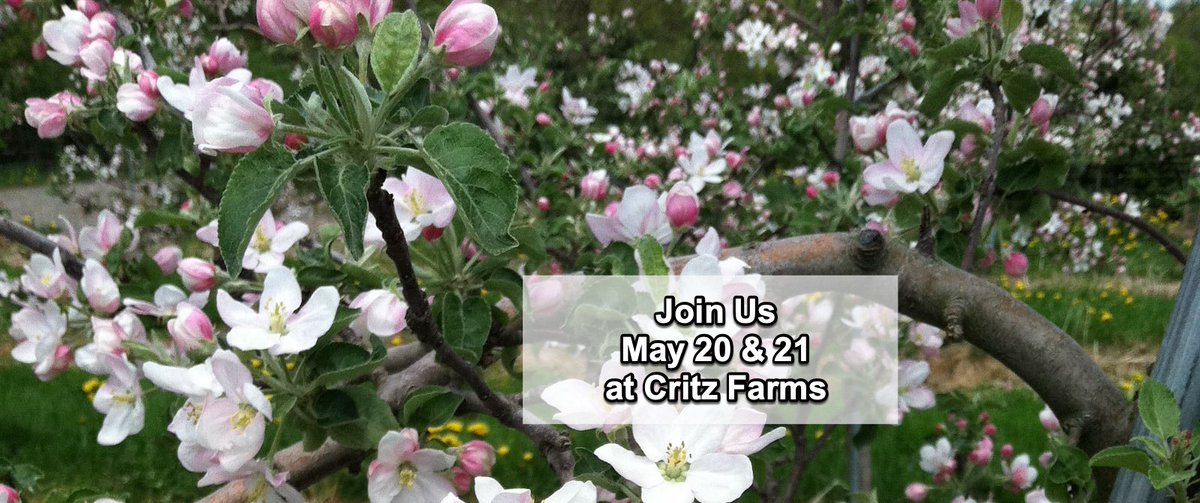 Folksmarch's tweet photo. 🏃‍♀️May 20 &amp; 21 Folksmarch Among the Apple Trees - https://t.co/8eyMthNxeD Join Us! Check out our website https://t.co/YVMqZhVcgI https://t.co/IJWr901Ebb
