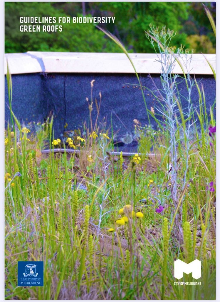 So happy to see this work finally being launched: #Guidelines for #Biodiversity #GreenRoofs. You wanna know how do design and manage your green roof in hot and dry climates such as Melbourne to enhance biodiversity benefit? melbourne.vic.gov.au/SiteCollection…