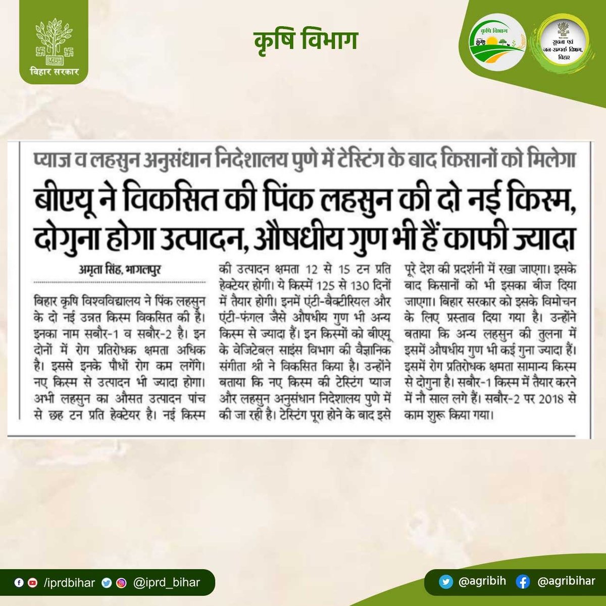 <a href="/Bau_sabour/">BAU Sabour</a> ने विकसित की पिंक लहसुन की दो नई किस्म, दोगुना होगा उत्पादन, औषधीय गुण भी हैं । <a href="/KumarSarvjeet6/">Kumar Sarvjeet</a> <a href="/saravanakr_n/">N Saravana Kumar IAS</a> <a href="/dralokghosh/">ALOK GHOSH</a> <a href="/HorticultureBih/">Directorate Of Horticulture, Deptt of Agri, Bihar</a> <a href="/IPRD_Bihar/">elon musk</a>