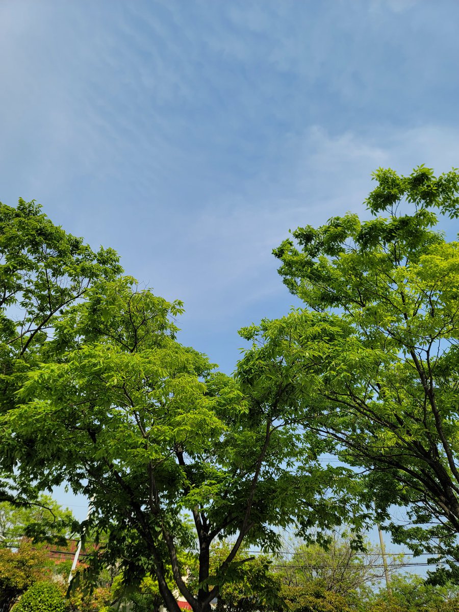 며칠동안 비만 오더니 날이 좋아서 한장 ^^