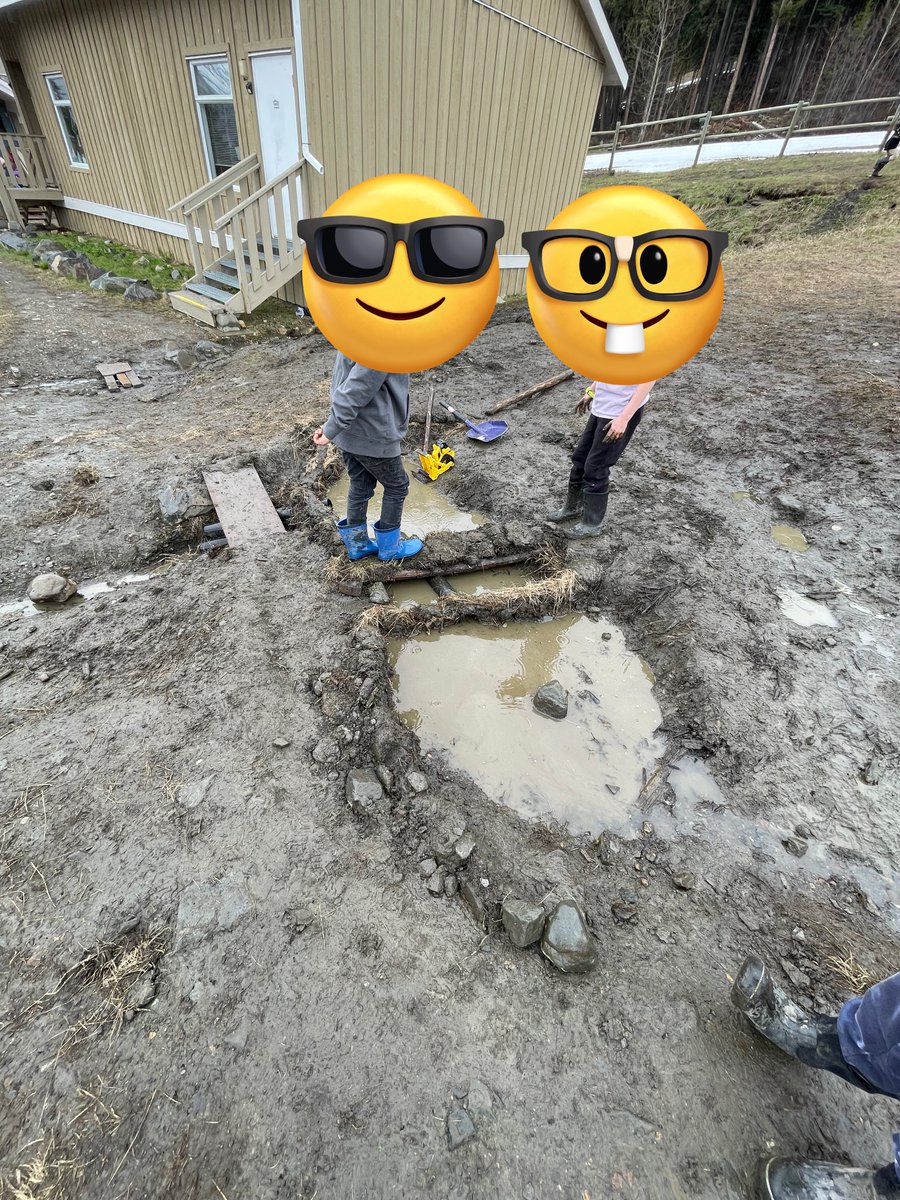 Curtis Wiebe tweet media