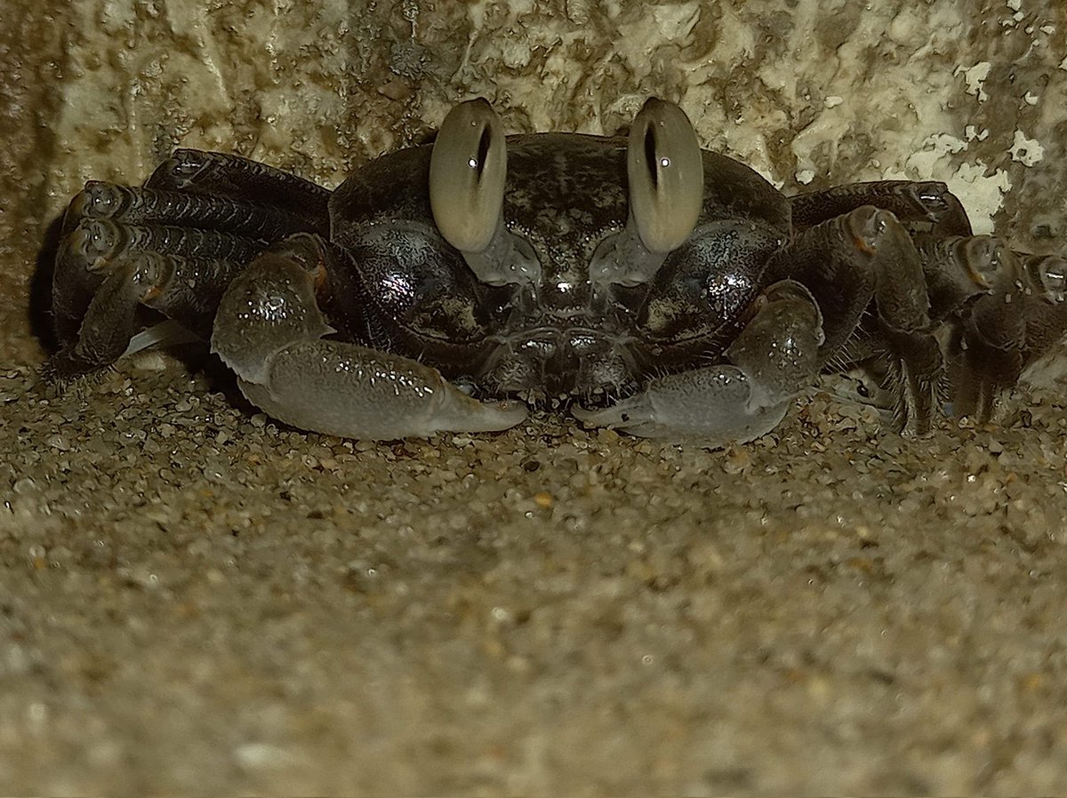 BroccoliTang's tweet image. 記得你是何時加入 Twitter 的嗎？我記得！#我的Twitter週年紀念日
四年，不記得換了多少工作，不記得搬了多少次家，忘記了很多同事的臉孔，忘記了很多書的位置，如果不是系統提醒我，我連這個帳戶幾時註冊都沒有放在心上。