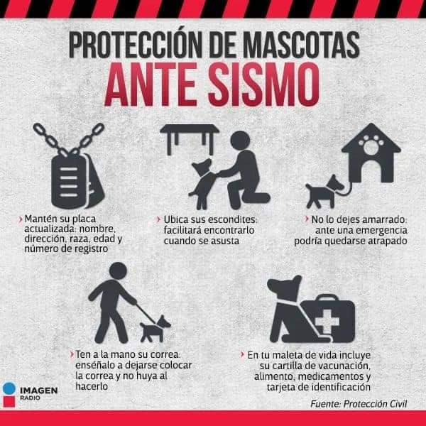 Imagen Radio tweet media