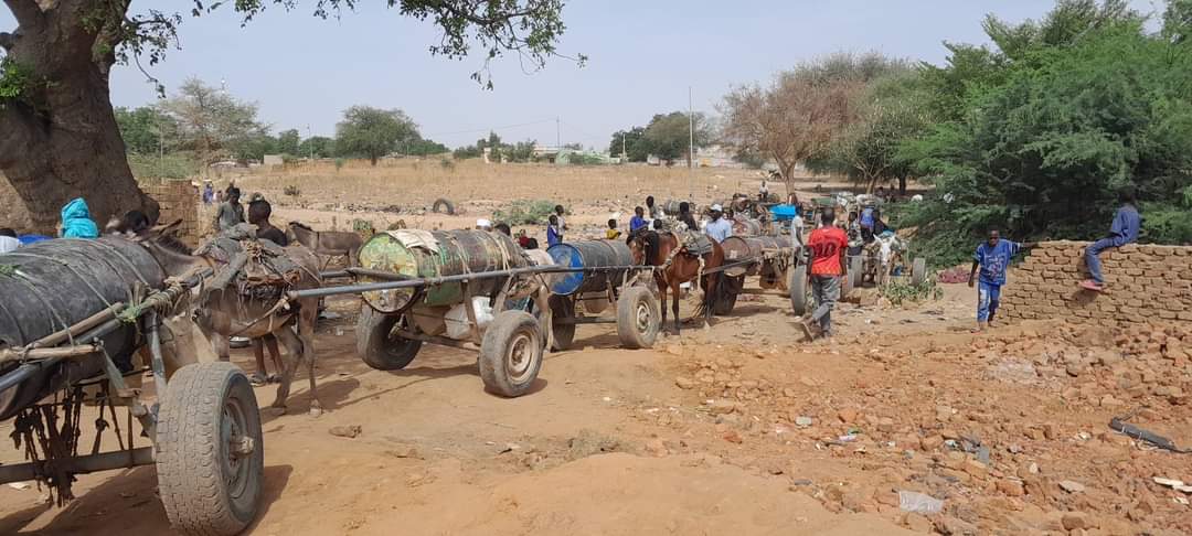 qoga12's tweet photo. #El_Geniane10May 
dry city، two weeks without drinking water and no safety in many residential neighborhoods of the city.
#KeepEyesOnSudan 
#StandWithSudan 
#SudanCrisis 
#لازم_تقيف https://t.co/9Ep0ColJOC