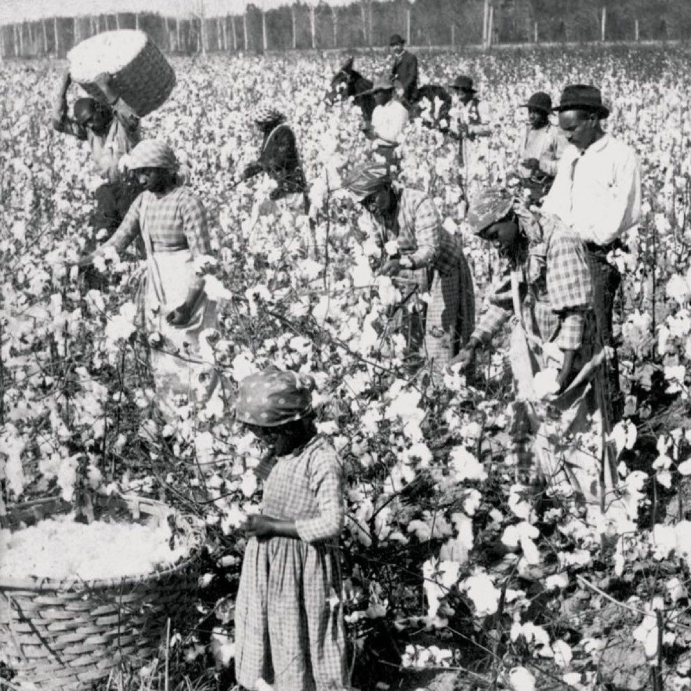 This is the foundation of America capitalism. And we should never forget that. Do not tell African-Americans that they are not entitled to reparation. millions of their ancestors were raped and murdered all in the name of capitalism and white supremacists and the US.