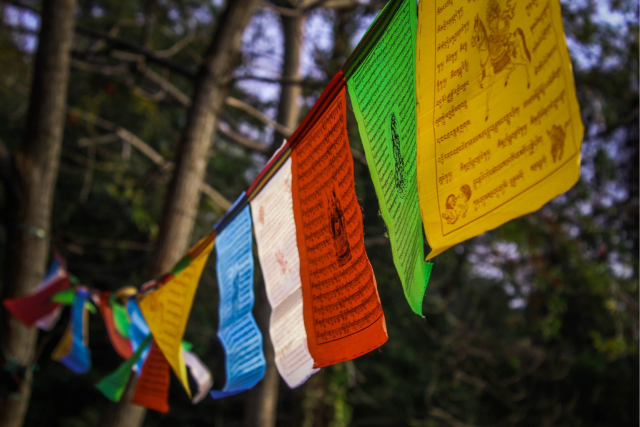 scifit_org's tweet photo. 9 Self-Guided Meditation Courses to Deepen Your Practice and Supercharge Your Spiritual Growth https://t.co/rHVAGq1ZBz https://t.co/nrdVE6aSiT