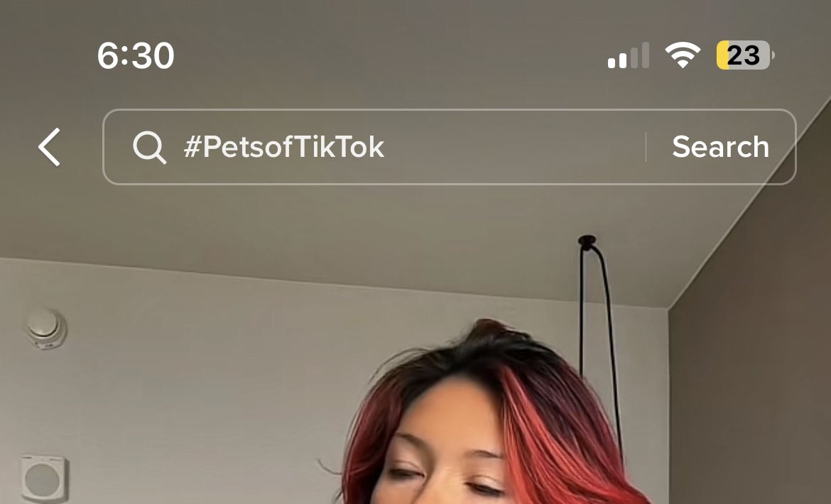 Sailorfox31 on Twitter: "Why does TikTok fucking label me with #petsoftiktok on almost all of my