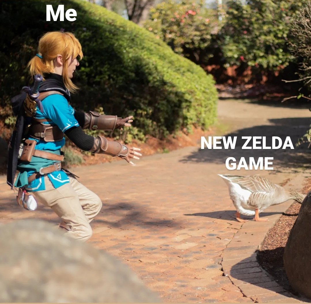 New Zelda game so close. So many adventures to be had. Many zolda