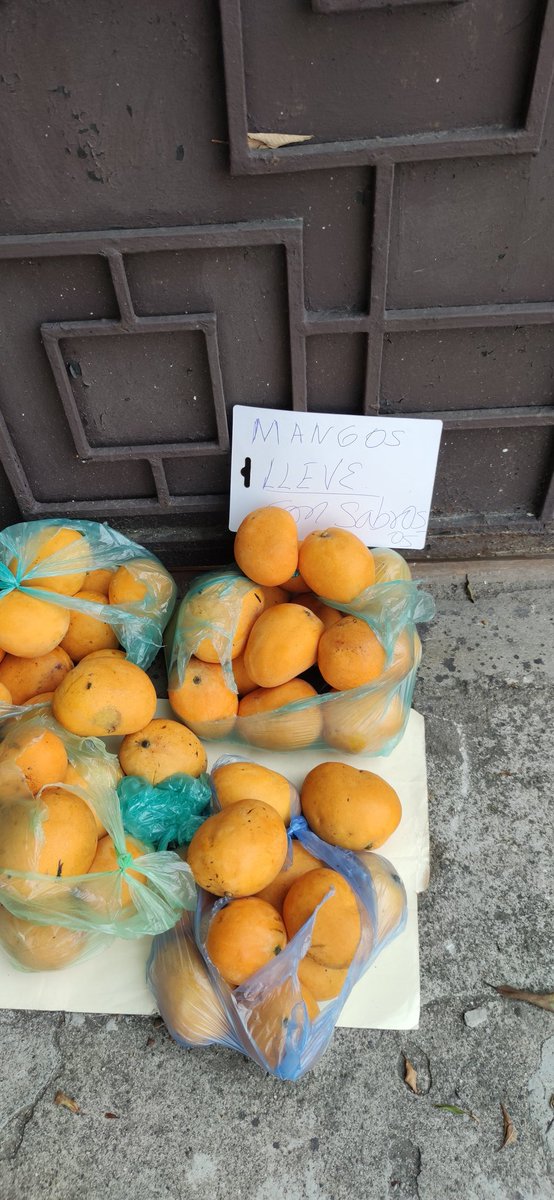 Después del todo no estamos tan jodidos, no crean...
Esa familia hasta embolsados dejan los mangos.