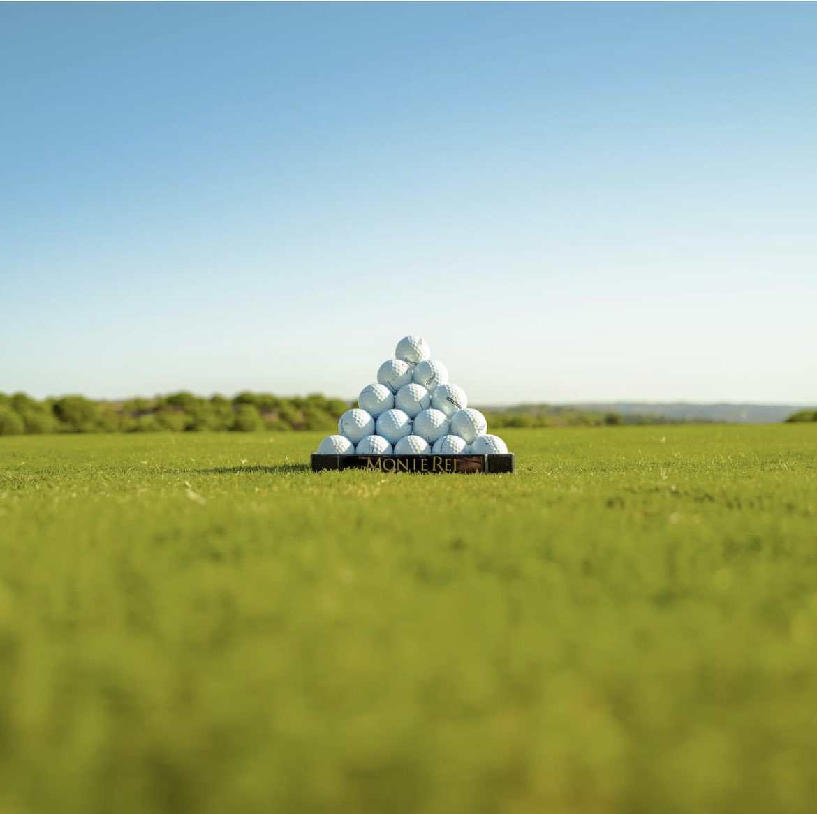 Andrew Murray tweet media