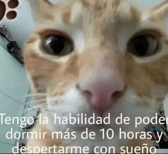 sisoy