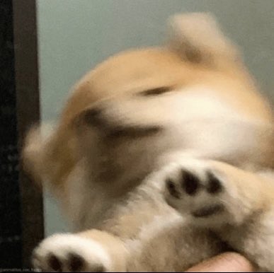 Yo creyendo que ya me iba con diosito alv con este horrible sismo 

#sismo #AlertaSismica #temblor