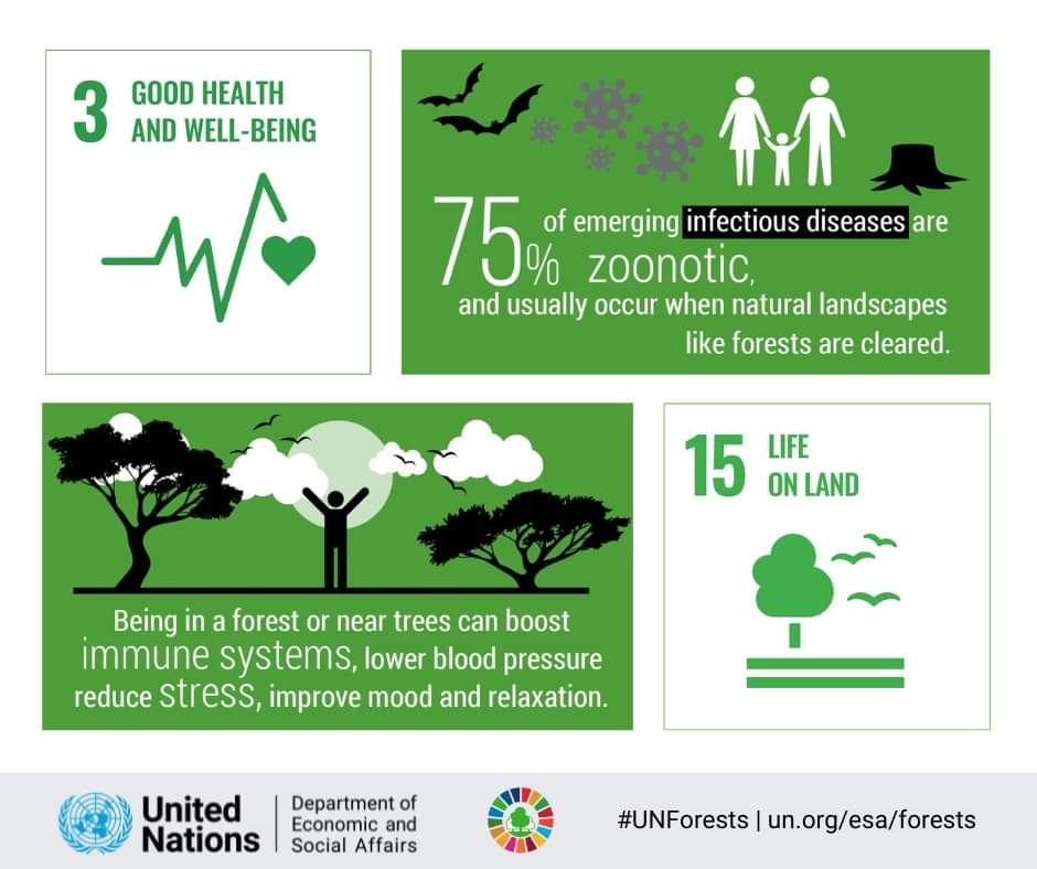 Healthy forests mean healthy people
Life is #BetterWithForests! 
 Being near trees 🌳 can
🦋 boost your immune system
🌿 lower blood pressure
🕊 reduce stress
Learn more about the critical role forests play in our lives!
📖 bit.ly/UNForest  💬 
@UN @PACJA1 @acsea_54