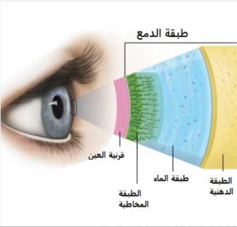 د خالد العرفج| Dr. Khalid Al-Arfaj tweet media