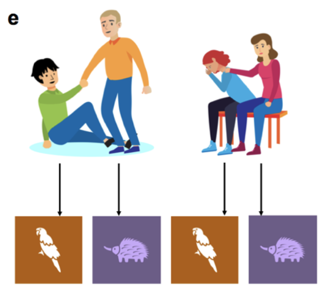 Leor Hackel (@leorhackel) on Twitter photo Excited to share new work w/ Dave Kalkstein, in press <a href="/PsychScience/">Association for Psychological Science</a>:
We find that social concepts simplify complex reinforcement learning, letting people attach model-free reward to familiar abstract roles.
We note implications for RL and social learning hackellab.org/_files/ugd/c5d… Excited to share new work w/ Dave Kalkstein, in press <a href="/PsychScience/">Association for Psychological Science</a>:
We find that social concepts simplify complex reinforcement learning, letting people attach model-free reward to familiar abstract roles.
We note implications for RL and social learning hackellab.org/_files/ugd/c5d…
