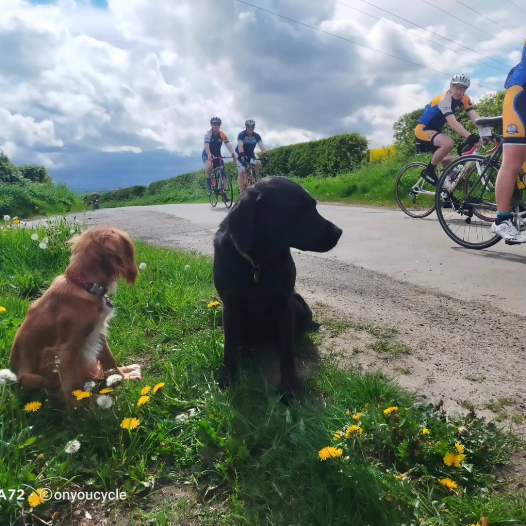 onyoucycle tweet media