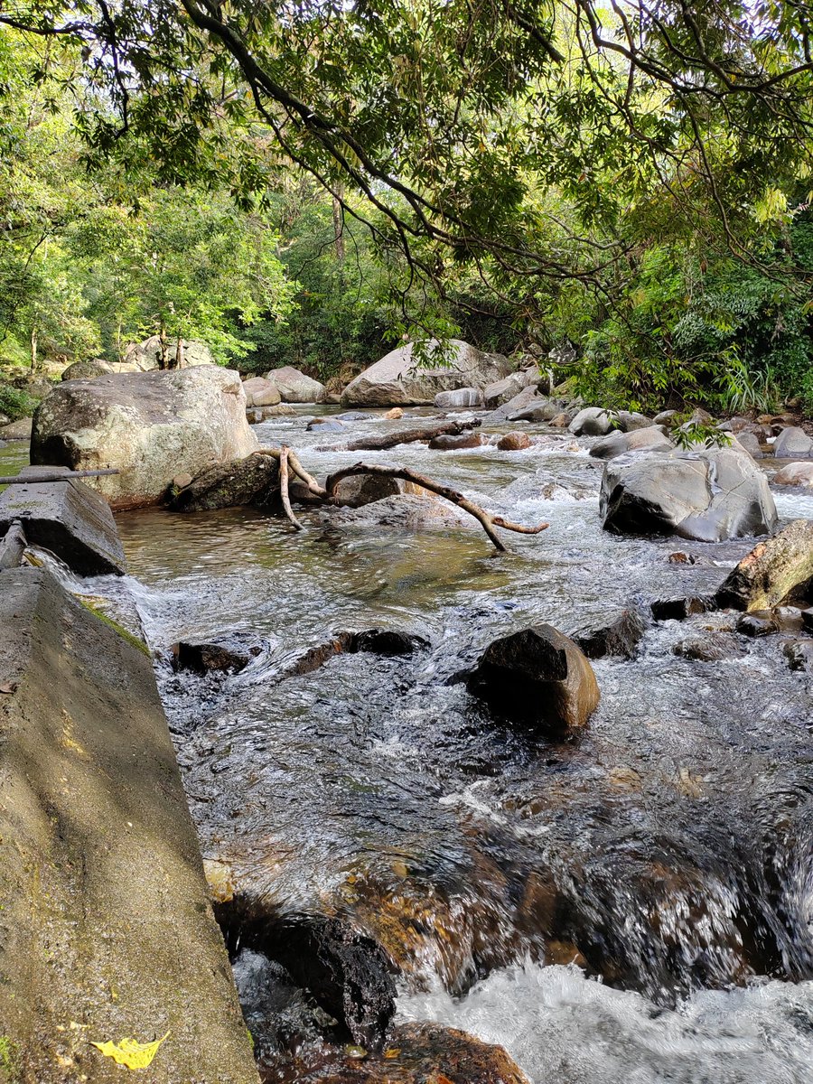 Sri Lanka, county like no other🇱🇰🇱🇰🇱🇰❤️❤️❤️#belihuloya #naturalriver #cleanwater
#nature #wildlife #srilanka #visitsrilanka
#travel #travelphotography #photography #love #photooftheday #instagood #travelgram #picoftheday #instagramlive #beautiful #photo #wanderlust