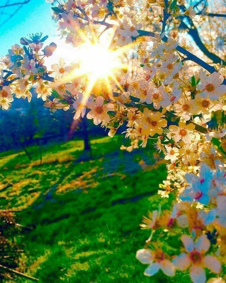 Respira il profumo
di questo mattino,
fatti accarezzare
dal primo raggio di sole,
non devi aver paura
il buio è spesso un illusione,
un tragico scherzo della mente
riprenditi la tua vita
torna a sorridere 
#Buongiorno 
#LimponderabileFragilitàDellEsistenza 
#11maggio