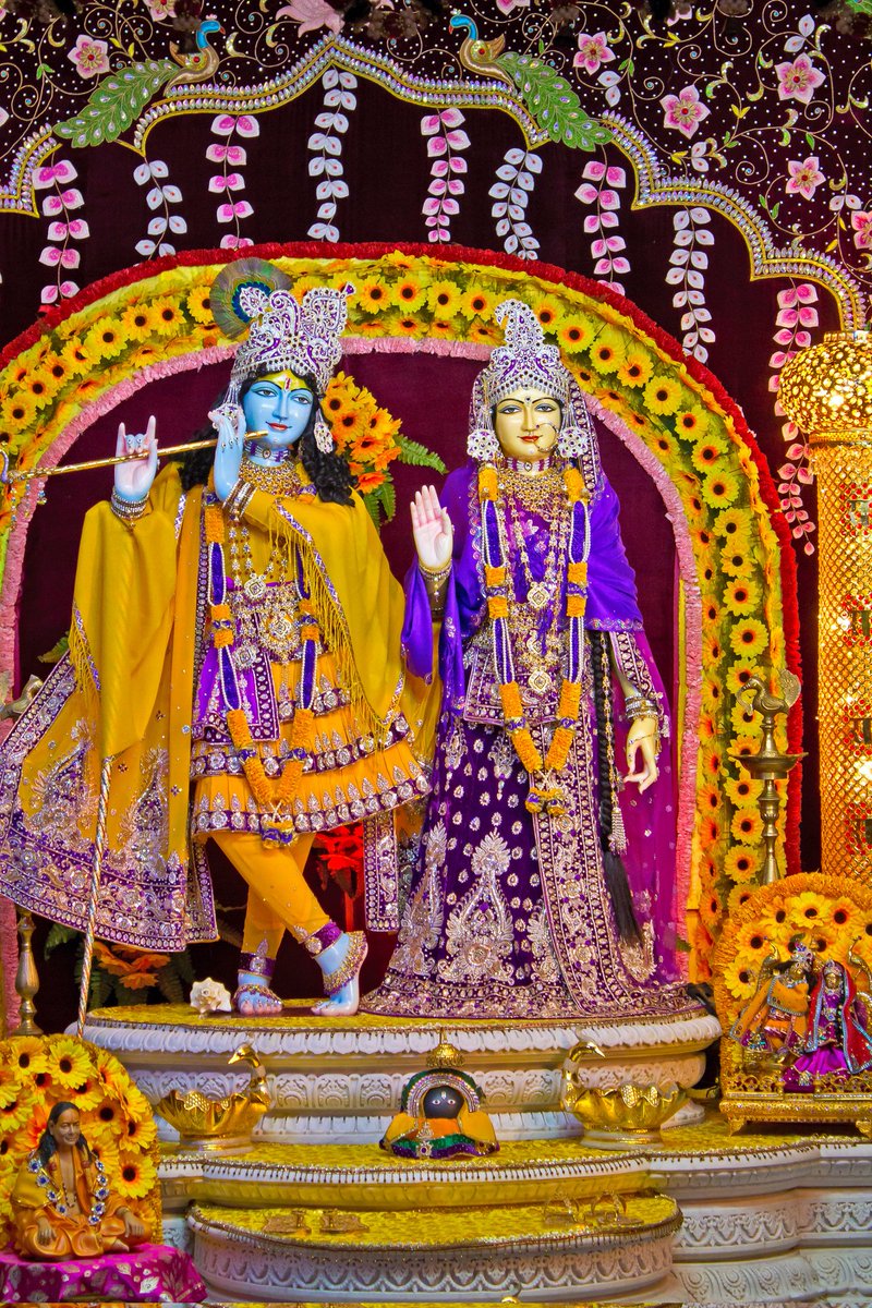 KrishnaGlory's tweet photo. 11:11 - May Shree Radha Krishna always bless everyone 🙏 🕉

Have a Krishna Conscious Day 💛 ✨

HARE RAMA HARE KRISHNA 🌸 https://t.co/CRgz9yvG1Y