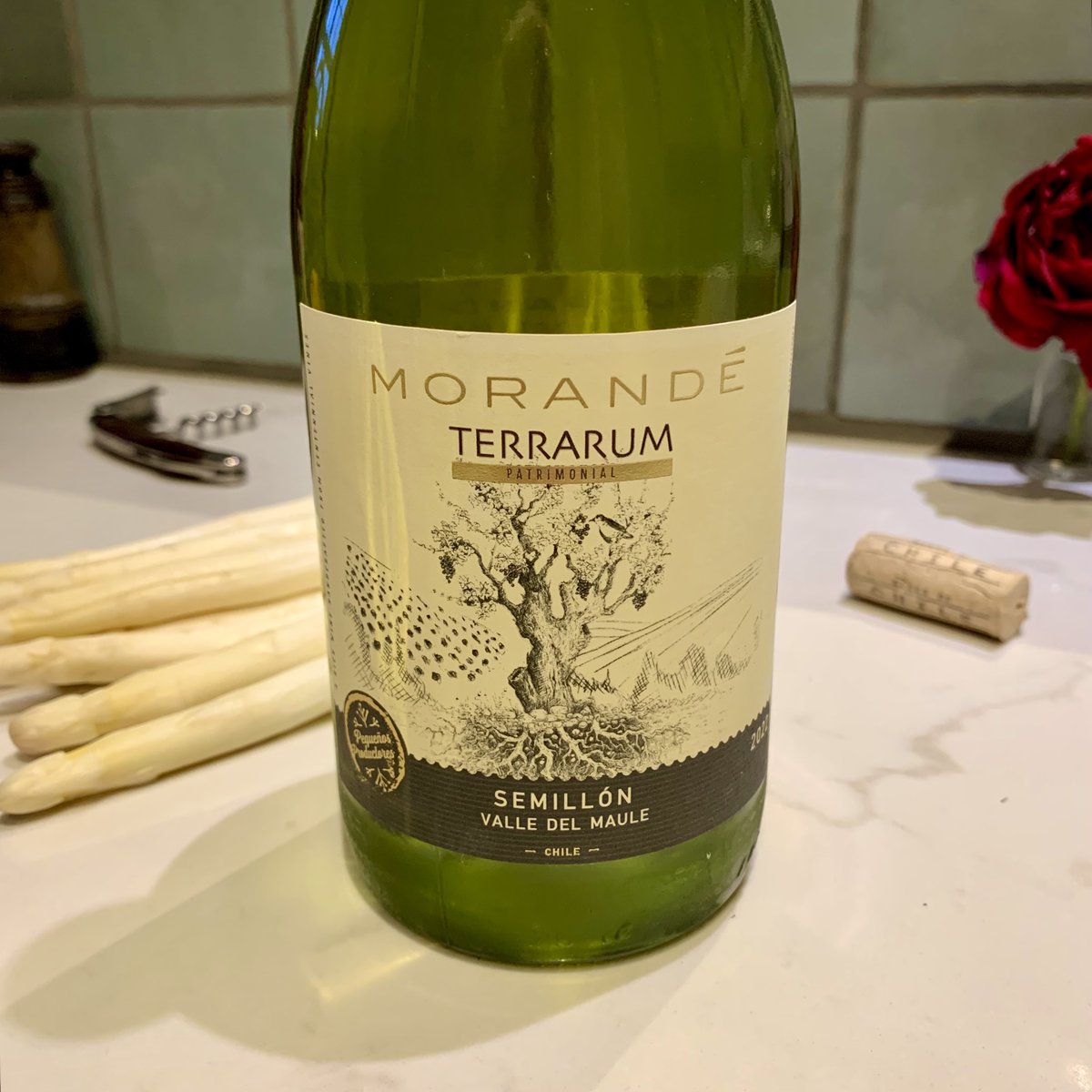 joannasimon's tweet photo. Another wonderful old-vine wine, but this time white wine, a Chilean Semillon @MorandeWines. New wine, old vines, new #weekoftheweek https://t.co/LjpnRMB03x https://t.co/FAg584TaEL