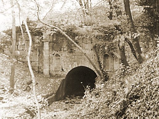 #OnThisDay Thursday 11th May 1911 - the last commercial boat passed through Sapperton Tunnel and the Thames and Severn Canal's summit. 

The summit and tunnel is now in the restoration pipeline, with @CanalsConnected working towards this goal.

cotswoldcanals.net/sapperton-cana…