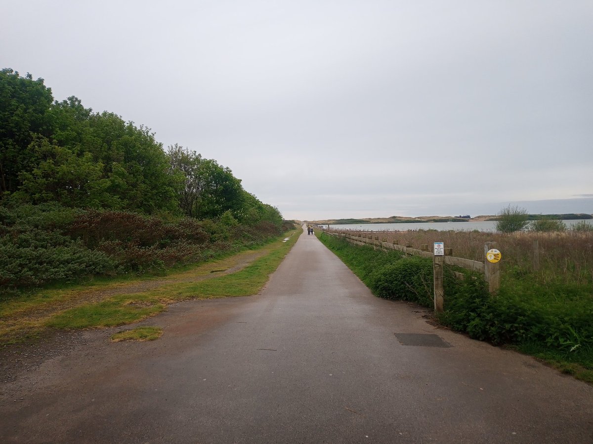 Dinnertime down the beach. Do not get better than this. Enjoy your day folks 👊🏻