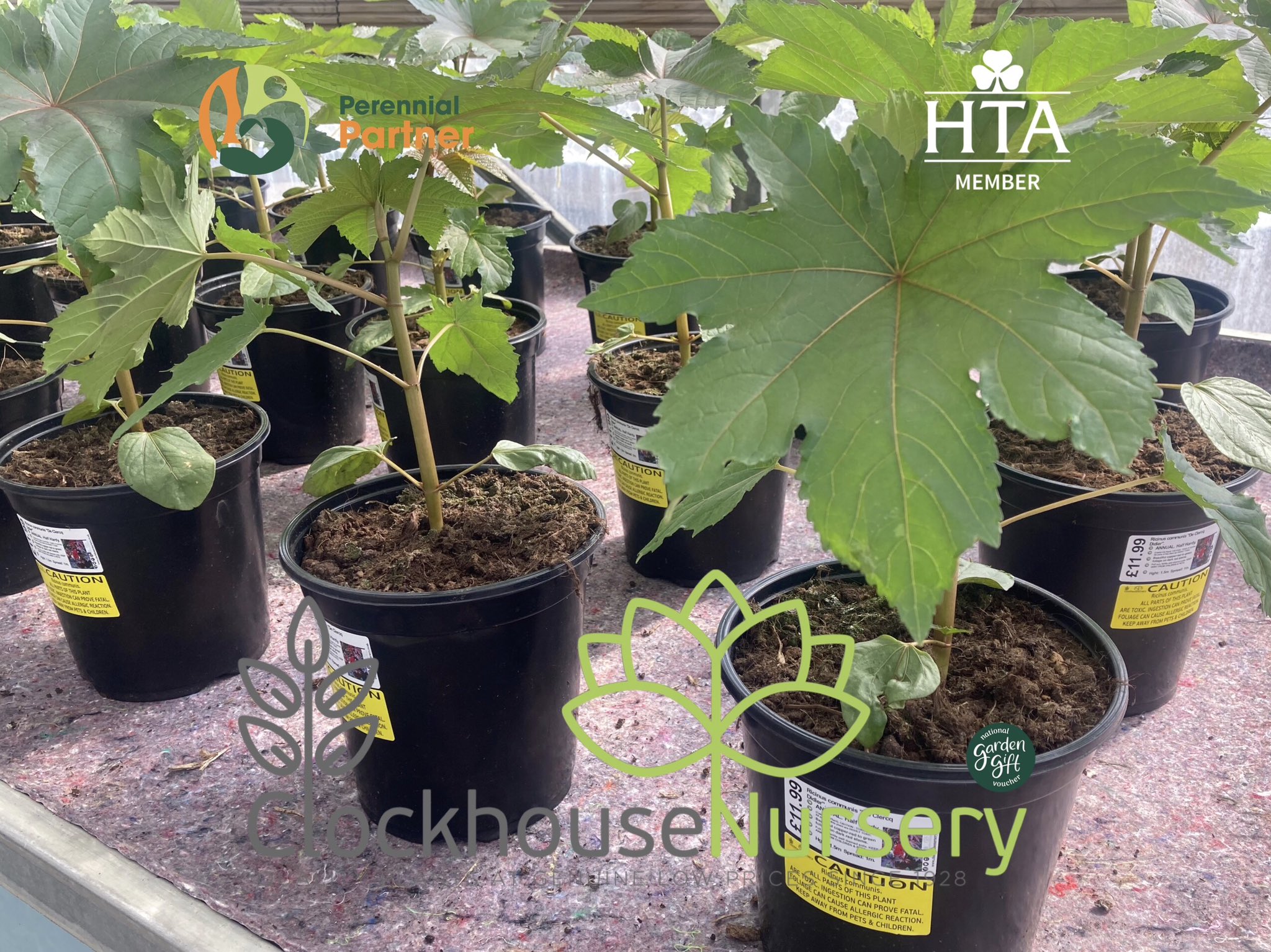 Clockhouse Nursery (ClockhouseEN2) / Twitter