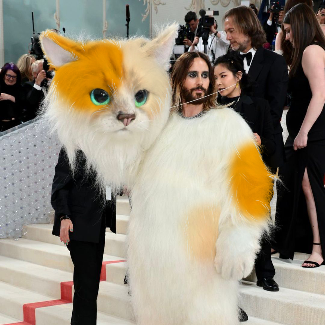 BigEyesCoin's tweet photo. Can't believe @JaredLeto dressed as #BigEyes for the Met Gala 😻😸

#BigEyesCoinToTheMoon #CatsofTwittter #Cat https://t.co/x3WG8olVpz