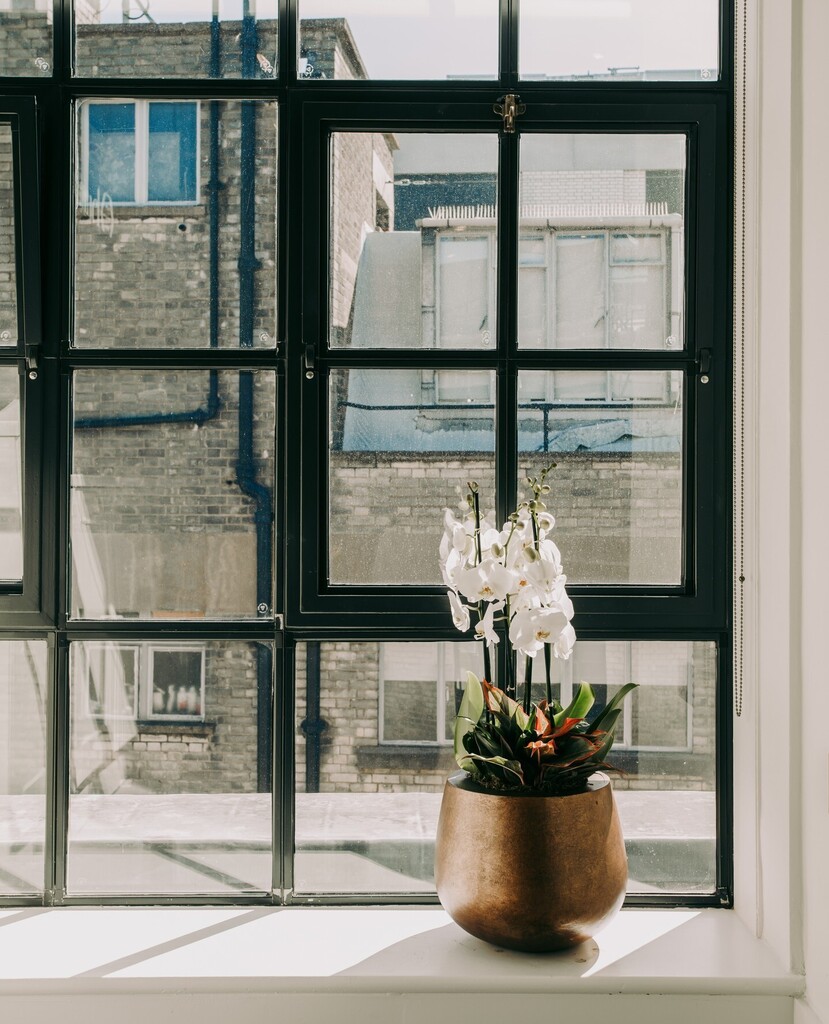With summer on the horizon, florals are a great way to bring the season into the office 🌺⁠
⁠
And you can do just that with our Bloom range; a subscription service  of flowered plant displays for your workspace, designed and created by our talented te… instagr.am/p/CsGXy5KsVmw/