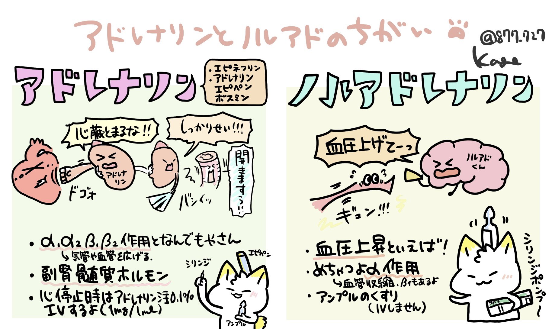 ノルアドレナリン アドレナリン 違い