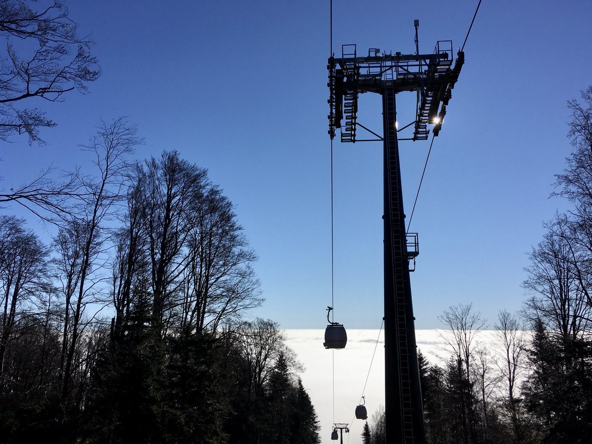 Dr. Jelena Godrijan 🫧❾🦋 tweet media