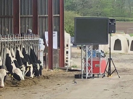 ORB_SL's tweet image. Unusual corporate set up yesterday on a working dairy farm!
🖥️ 4 x screens, 📢5 x portable PA systems, 🎤 8 x radio mics and 🐄🐄🐄 200+ new cow friends!