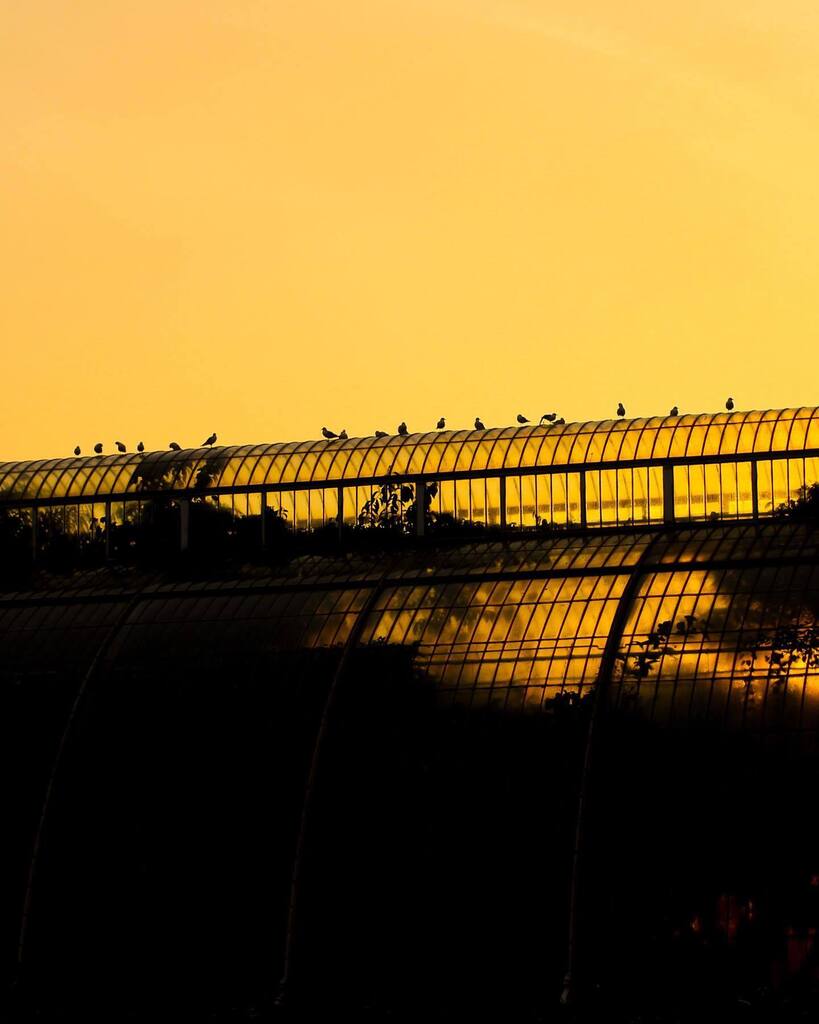 Some images taken from my latest book titled “Inviting light”. Photography is an ongoing labour of love for me, so I appreciate those who have purchased a copy already. For those who havent and would like to, I have some still available  at the link in m… instagr.am/p/CsGTTWjoaLc/