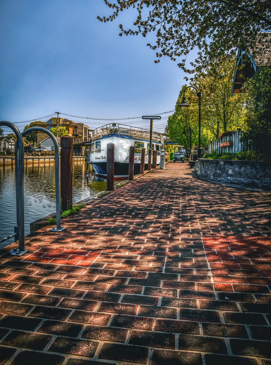 Nikki Bittner tweet media