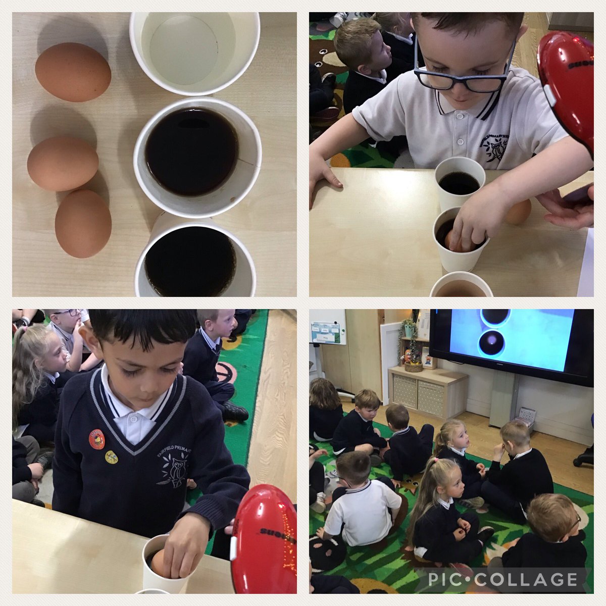 FPS_R_Ladybirds's tweet image. What is your prediction? #fpsscience