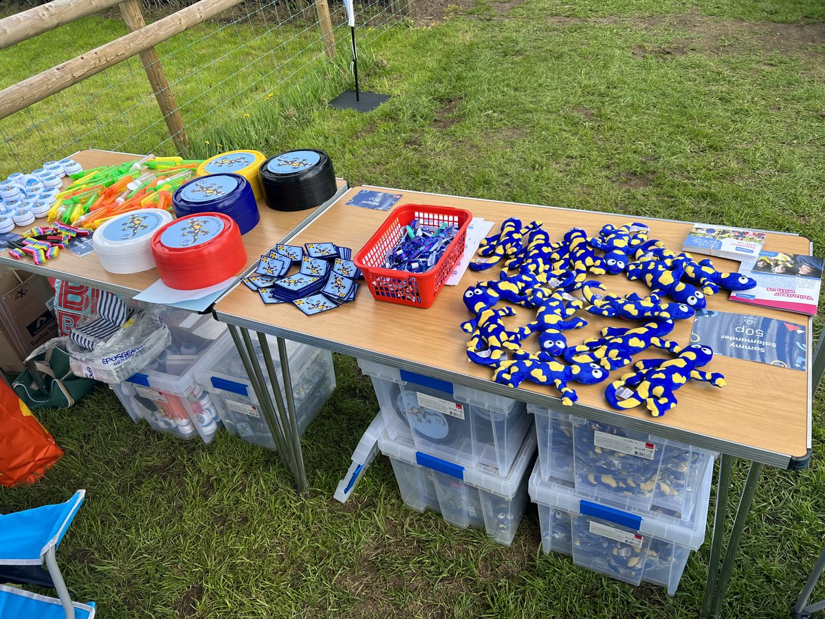 A great weekend at a coronation picnic. Meeting lots of potential new girls and volunteers. Our amazing volunteers had a great time planting sunflower seeds, playing skittles and games. #girlguiding #Sandwell #volunteers
