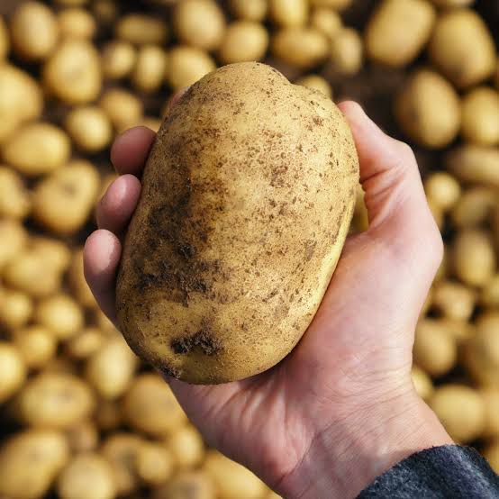 Did you know potato peels can be utilised in various culinary preparations? They can be used to make crispy snacks like potato peel chips or added to soups, stews and stocks to enhance flavour. So stop throwing away your peels.😋

#ValueAddition #Culinary #ThursdayThoughts