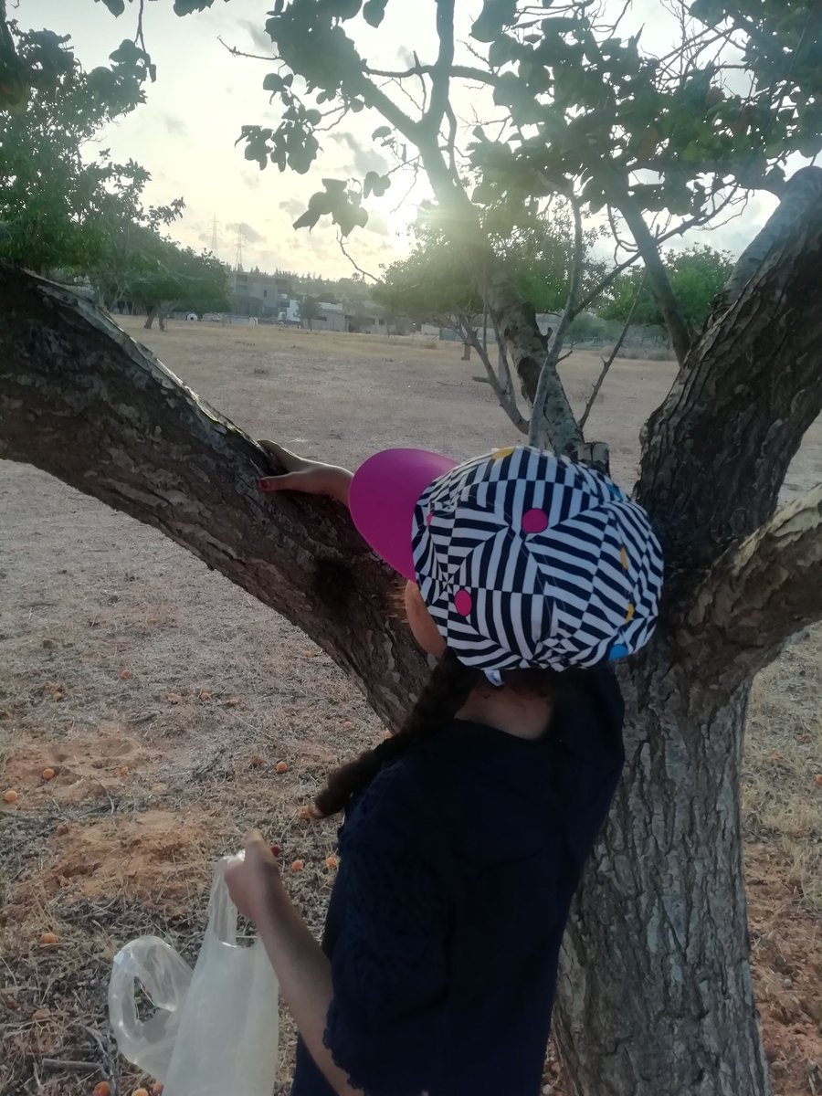 Dhanan Alnari (@alnaridhanan) on Twitter photo 